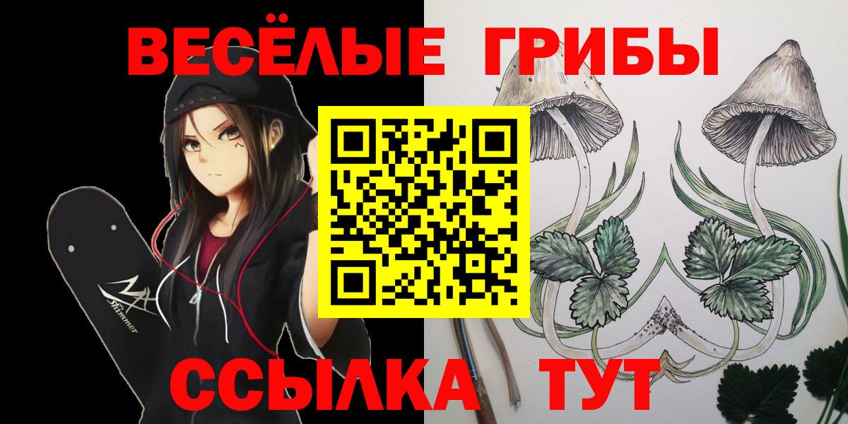 Галлюциногенные грибы Psilocybine cubensis  Вход с VPN  Галлюциногенные грибы GOLDEN TEACHER  Псков 